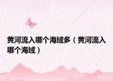 黄河流入哪个海域多（黄河流入哪个海域）
