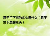 君子兰下崽的兆头是什么（君子兰下崽的兆头）