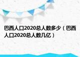 巴西人口2020总人数多少（巴西人口2020总人数几亿）