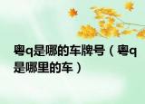 粤q是哪的车牌号（粤q是哪里的车）