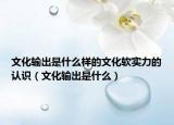 文化输出是什么样的文化软实力的认识（文化输出是什么）