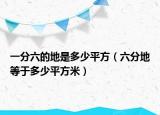 一分六的地是多少平方（六分地等于多少平方米）