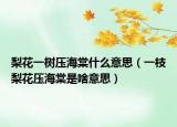 梨花一树压海棠什么意思（一枝梨花压海棠是啥意思）