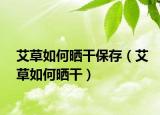艾草如何晒干保存（艾草如何晒干）