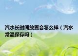 汽水长时间放置会怎么样（汽水常温保存吗）