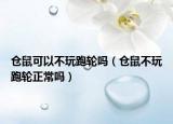 仓鼠可以不玩跑轮吗（仓鼠不玩跑轮正常吗）