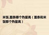 米饭,面条哪个热量高（面条和米饭那个热量高）