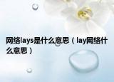 网络lays是什么意思（lay网络什么意思）