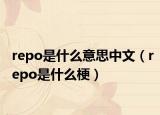 repo是什么意思中文（repo是什么梗）