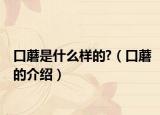 口蘑是什么样的?（口蘑的介绍）