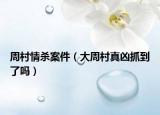 周村情杀案件（大周村真凶抓到了吗）