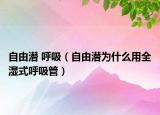 自由潜 呼吸（自由潜为什么用全湿式呼吸管）