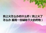 狗上火怎么办吃什么药（狗上火了怎么办 服用一些辅助下火的药物）