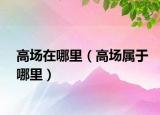 高场在哪里（高场属于哪里）