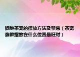 貔貅茶宠的摆放方法及禁忌（茶宠貔貅摆放在什么位置最旺财）