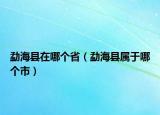 勐海县在哪个省（勐海县属于哪个市）