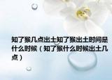 知了猴几点出土知了猴出土时间是什么时候（知了猴什么时候出土几点）