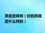 燕窝是啥样（好的燕窝是什么样的）