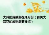 大蒜的成熟期在几月份（有关大蒜花的成熟季节介绍）