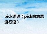 pick词语（pick啥意思流行语）