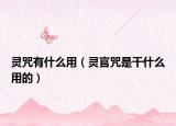 灵咒有什么用（灵官咒是干什么用的）