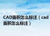 CAD面积怎么标注（cad面积怎么标注）