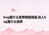 bug是什么意思网络用语,说人bug是什么意思