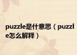 puzzle是什意思（puzzle怎么解释）