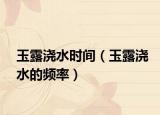 玉露浇水时间（玉露浇水的频率）