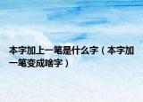 本字加上一笔是什么字（本字加一笔变成啥字）