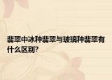 翡翠中冰种翡翠与玻璃种翡翠有什么区别?