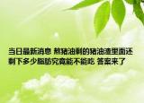 当日最新消息 熬猪油剩的猪油渣里面还剩下多少脂肪究竟能不能吃 答案来了