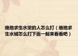 绝地求生水里的人怎么打（绝地求生水城怎么打下面一起来看看吧）