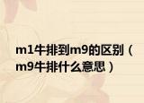 m1牛排到m9的区别（m9牛排什么意思）