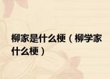 柳家是什么梗（柳学家什么梗）