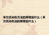 革兰氏染色方法的原理是什么（革兰氏染色法的原理是什么）