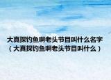 大真探钓鱼啊老头节目叫什么名字（大真探钓鱼啊老头节目叫什么）