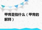 甲胄是指什么（甲胄的解释）