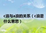 c浪与a浪的关系（c浪是什么意思）