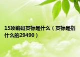 15项编码贯标是什么（贯标是指什么的29490）