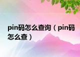 pin码怎么查询（pin码怎么查）