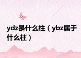 ydz是什么柱（ybz属于什么柱）