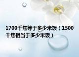 1700千焦等于多少米饭（1500千焦相当于多少米饭）