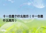 十一仓是个什么地方（十一仓是什么地方）
