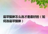 翡翠貔貅怎么选才是最好的（如何选翡翠貔貅）