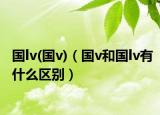 国lv(国v)（国v和国lv有什么区别）