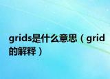grids是什么意思（grid的解释）