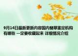 9月14日最新更新内容国内翡翠鉴定机构有哪些 一定要收藏起来 详细情况介绍