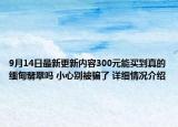 9月14日最新更新内容300元能买到真的缅甸翡翠吗 小心别被骗了 详细情况介绍