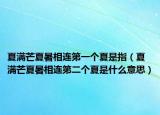 夏满芒夏暑相连第一个夏是指（夏满芒夏暑相连第二个夏是什么意思）